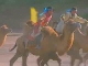 Скачки на верблюдах (Китай)