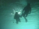 Diving in Fujairah (阿拉伯联合酋长国)