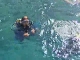Diving in Kash (土耳其)