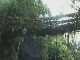 Живые мосты Черапунджи (Индия)