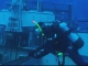 Malta Diving