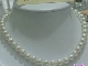 Pearls of Beihai (中国)
