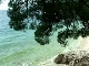 Pine beaches (クロアチア)