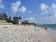 Cottesloe Beach (オーストラリア)