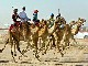 Dubai Camel Race (阿拉伯联合酋长国)