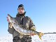 Рыбалка в Северной Дакоте (Соединённые Штаты Америки)