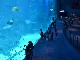 Singapore Aquarium