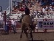 Small Town Rodeo (Canada)